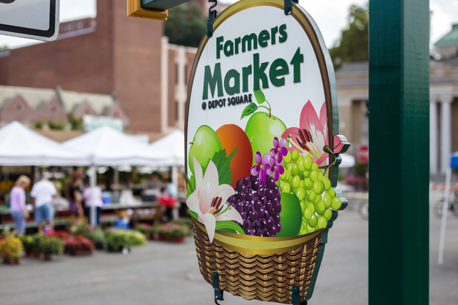 Photo of Village of Tuckahoe Farmers Market in Tuckahoe City, New York, United States - 3 Picture of Food, Point of interest, Establishment