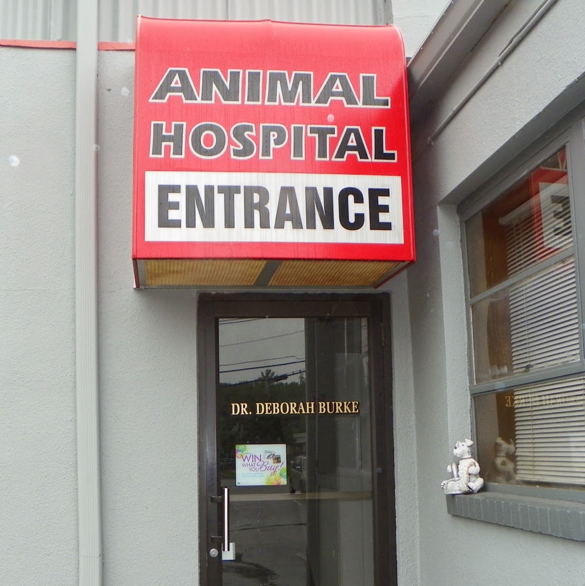 Photo of All Creatures Great & Small Animal Hospital in Fairfield City, New Jersey, United States - 7 Picture of Point of interest, Establishment, Veterinary care