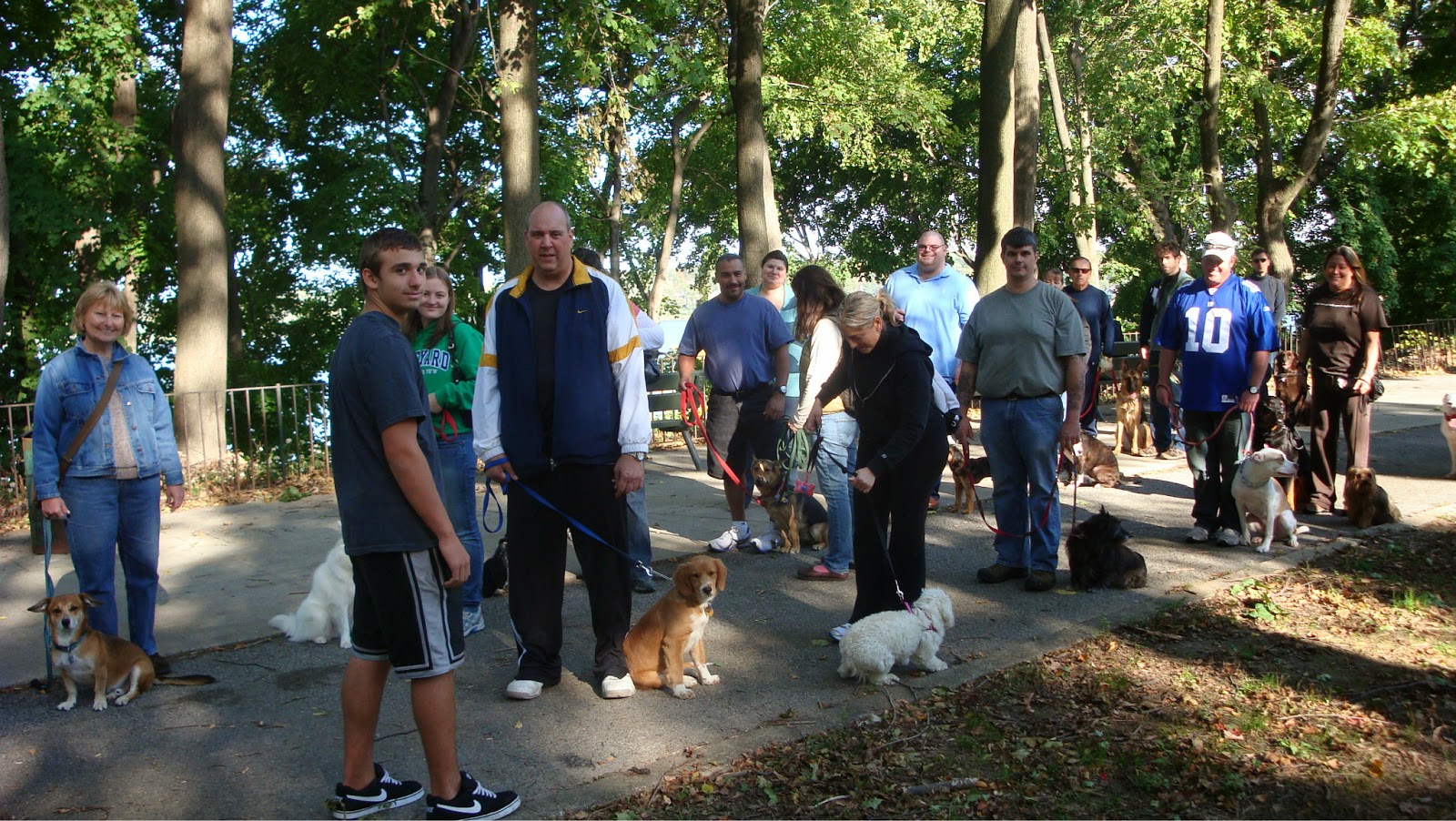 Photo of Anthony Jerone's School Of Dog Training & Career Inc. in Whitestone City, New York, United States - 7 Picture of Point of interest, Establishment, School