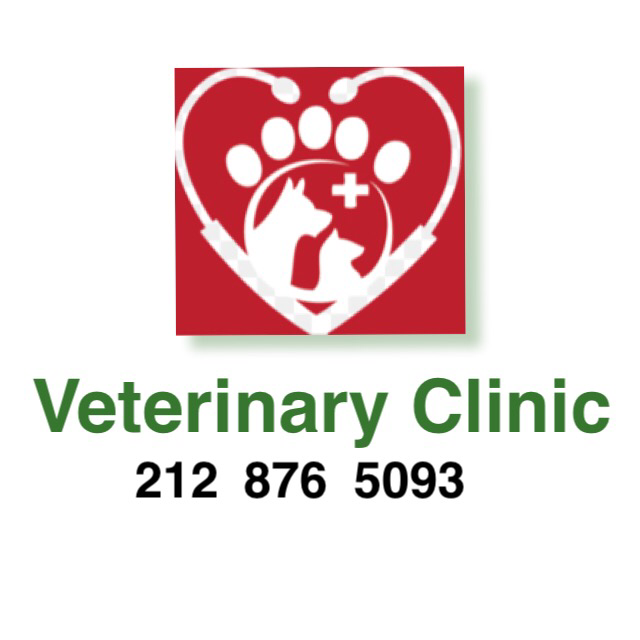 Photo of Ideal Pet Veterinary Clinic in New York City, New York, United States - 3 Picture of Point of interest, Establishment, Health, Veterinary care