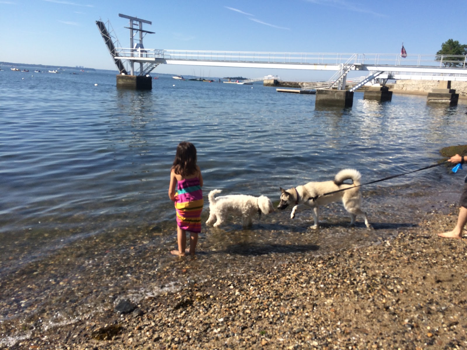 Photo of Larchmont Dog Beach in Larchmont City, New York, United States - 1 Picture of Point of interest, Establishment, Park
