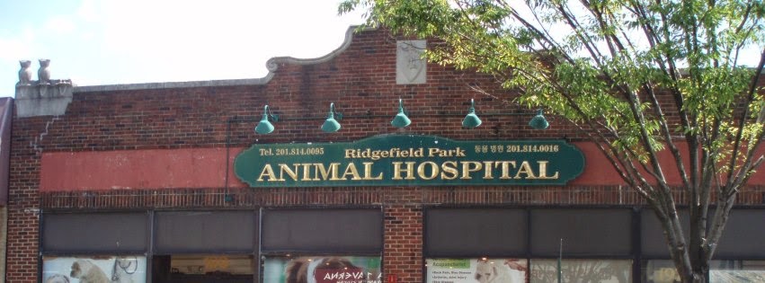 Photo of Ridgefield Park Animal Hospital in Ridgefield Park City, New Jersey, United States - 2 Picture of Food, Point of interest, Establishment, Store, Veterinary care