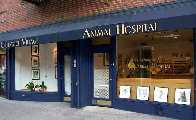 Photo of Greenwich Village Animal Hospital in New York City, New York, United States - 1 Picture of Point of interest, Establishment, Veterinary care