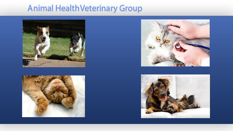 Photo of Animal Health Veterinary Group in Staten Island City, New York, United States - 3 Picture of Point of interest, Establishment, Veterinary care