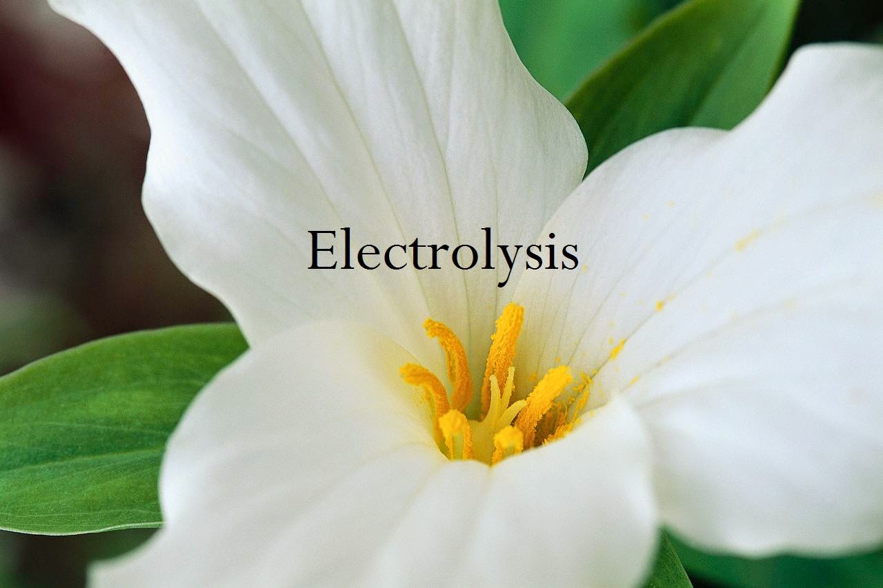 Photo of Electrolysis by Lori in Middle Village City, New York, United States - 1 Picture of Point of interest, Establishment, Health, Spa, Beauty salon, Hair care