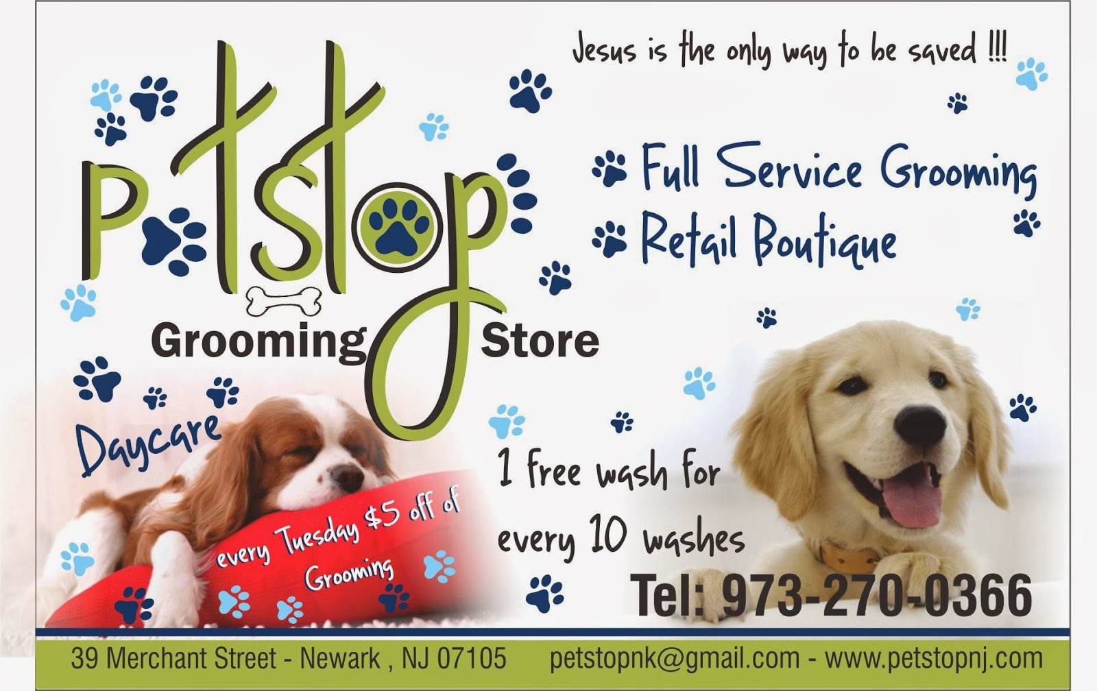 Photo of Petstop Grooming Store in Newark City, New Jersey, United States - 3 Picture of Point of interest, Establishment