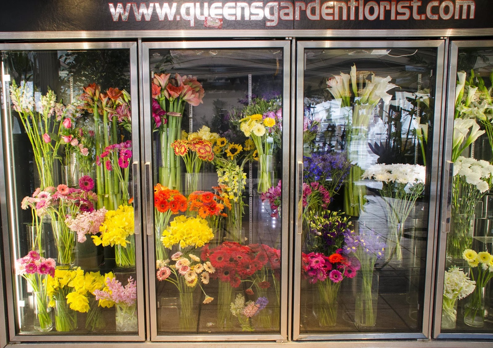 Photo of QG Floral & Landscape in Whitestone City, New York, United States - 6 Picture of Food, Point of interest, Establishment, Store, General contractor, Florist