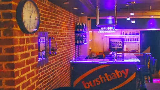 Photo of bushbaby in Brooklyn City, New York, United States - 3 Picture of Restaurant, Food, Point of interest, Establishment, Bar, Night club