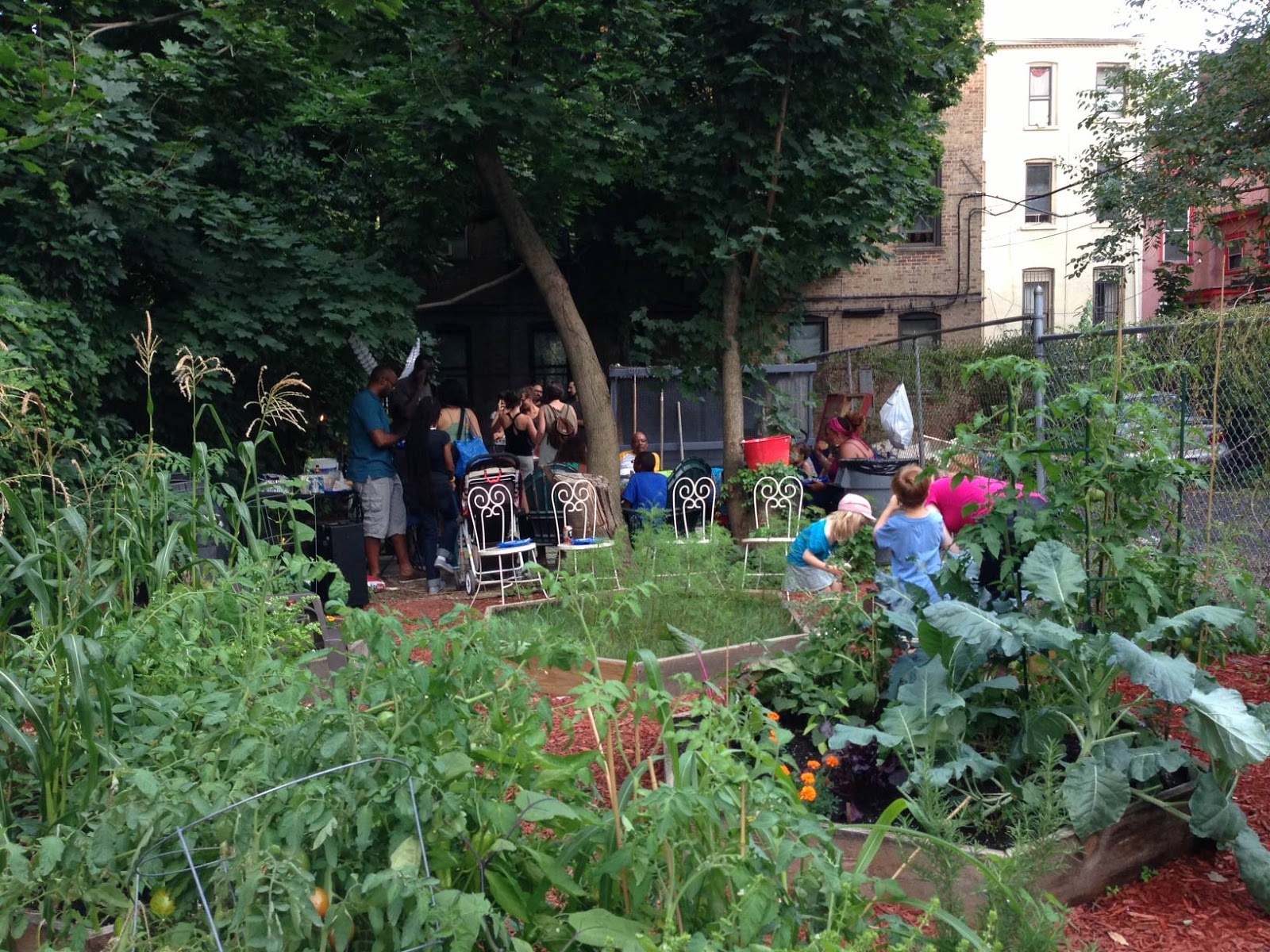 Photo of 100 Quincy Community Garden in New York City, New York, United States - 1 Picture of Point of interest, Establishment, Park