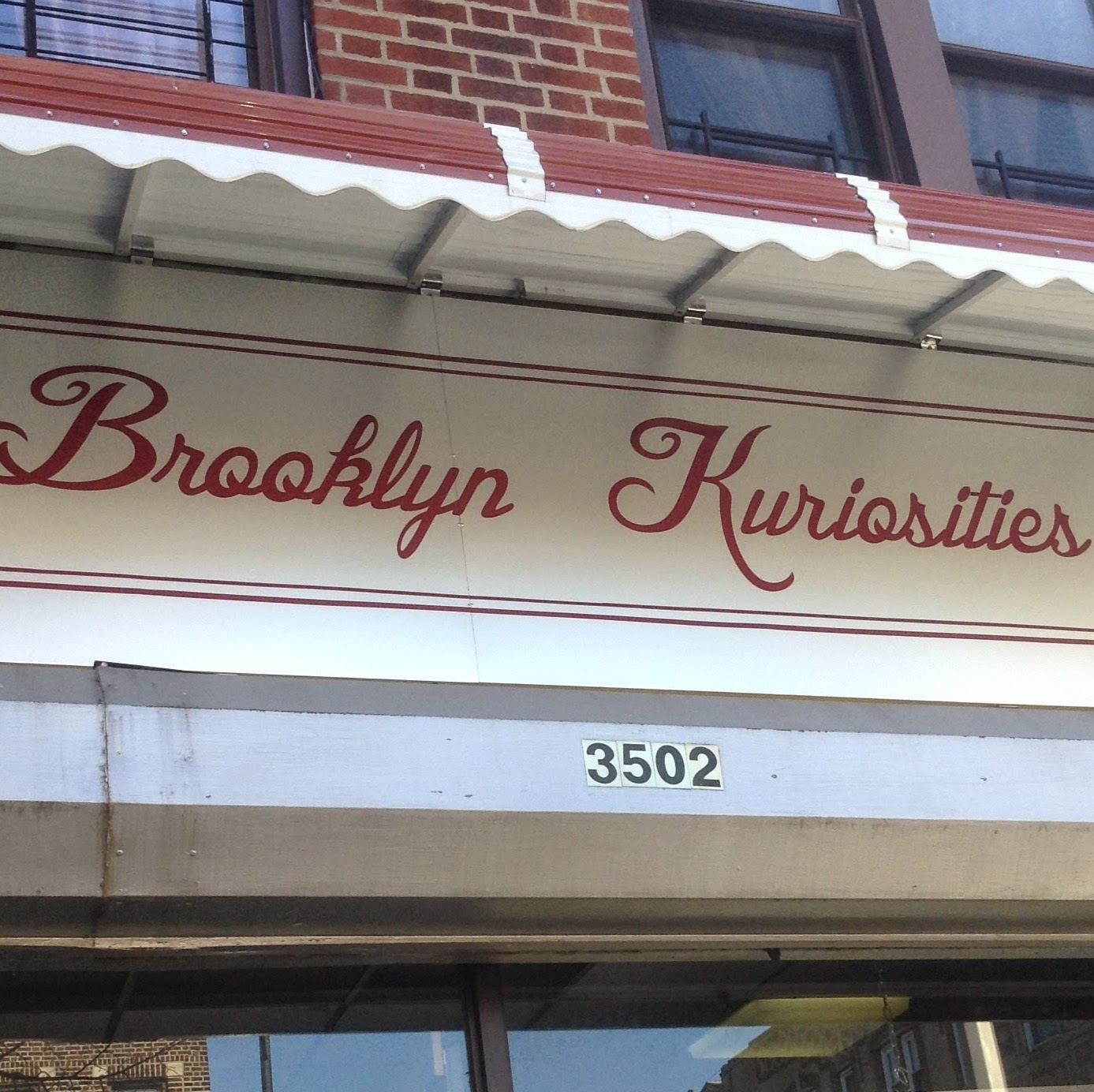 Photo of Brooklyn Kuriosities in Kings County City, New York, United States - 1 Picture of Point of interest, Establishment, Store