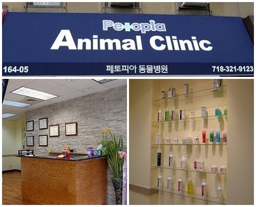 Photo of Petopia Animal Clinic in Queens City, New York, United States - 1 Picture of Point of interest, Establishment, Health, Veterinary care