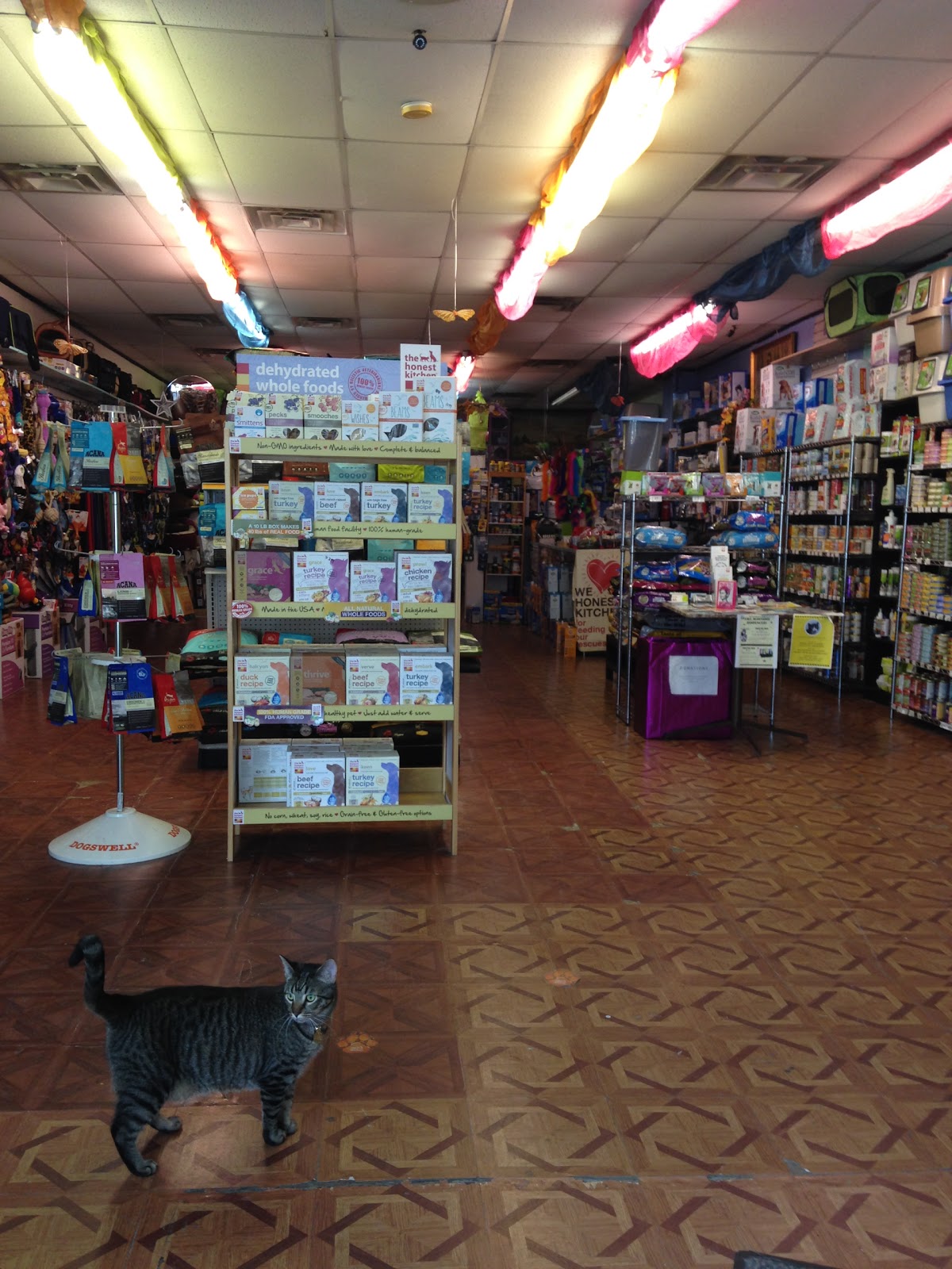 Photo of Fussy Friends Pet Supplies in Jersey City, New Jersey, United States - 3 Picture of Point of interest, Establishment, Store, Pet store