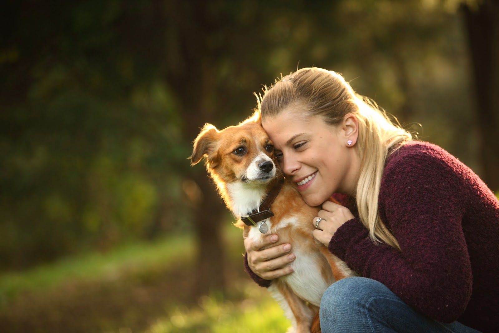 Photo of CATCH Canine Trainers Academy in Little Falls City, New Jersey, United States - 3 Picture of Point of interest, Establishment, School