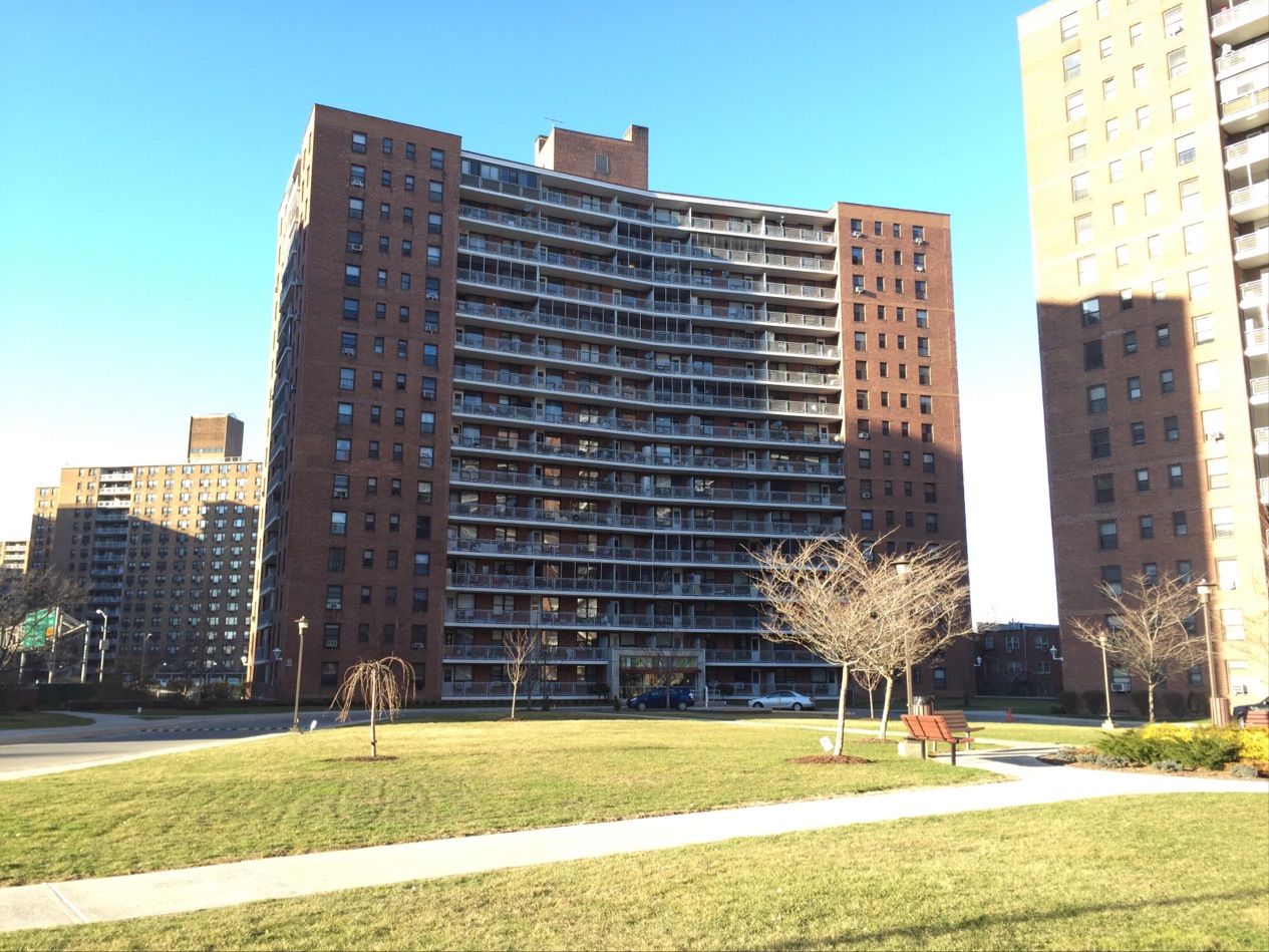 Photo of Park City Estates in Queens City, New York, United States - 1 Picture of Point of interest, Establishment