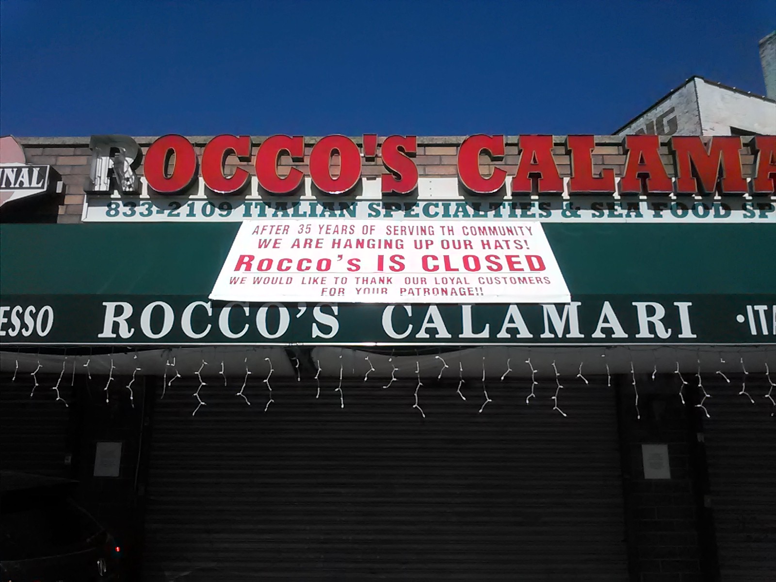 Photo of Rocco's Calamari in Brooklyn City, New York, United States - 2 Picture of Food, Point of interest, Establishment, Cafe