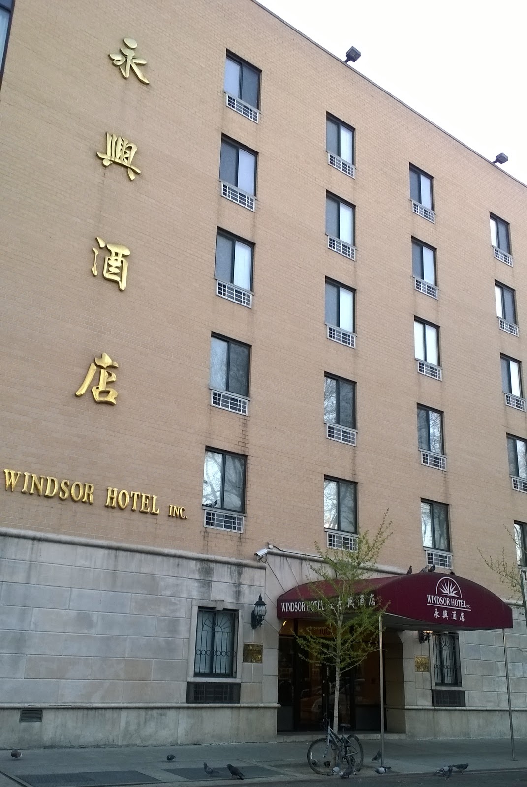 Photo of Windsor Hotel in New York City, New York, United States - 1 Picture of Point of interest, Establishment, Lodging