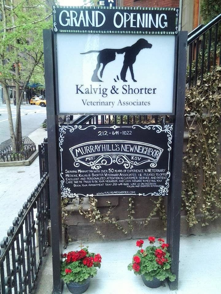 Photo of Kalvig and Shorter Veterinary Associates in New York City, New York, United States - 1 Picture of Point of interest, Establishment, Veterinary care