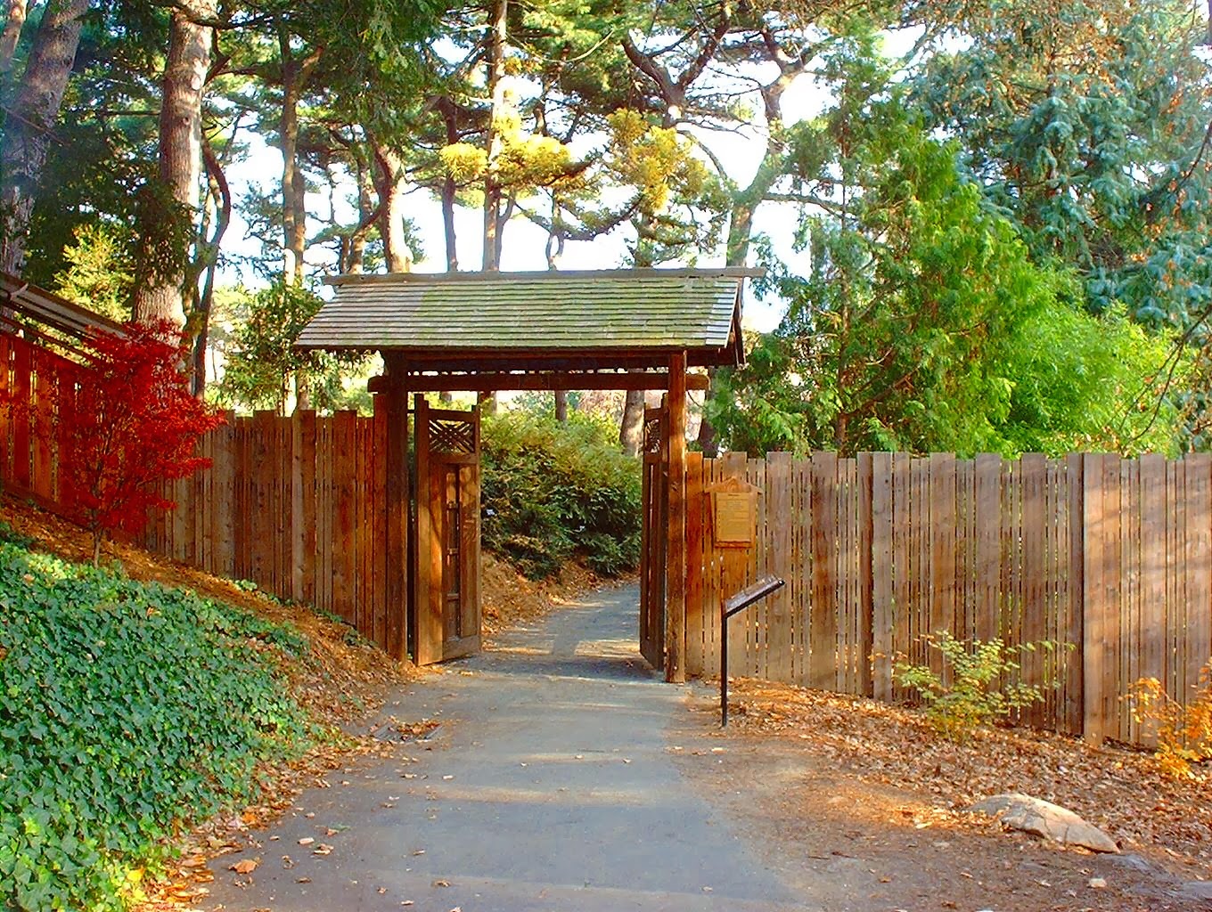 Photo of Japanese Hill-and-Pond Garden in Brooklyn City, New York, United States - 1 Picture of Point of interest, Establishment, Park