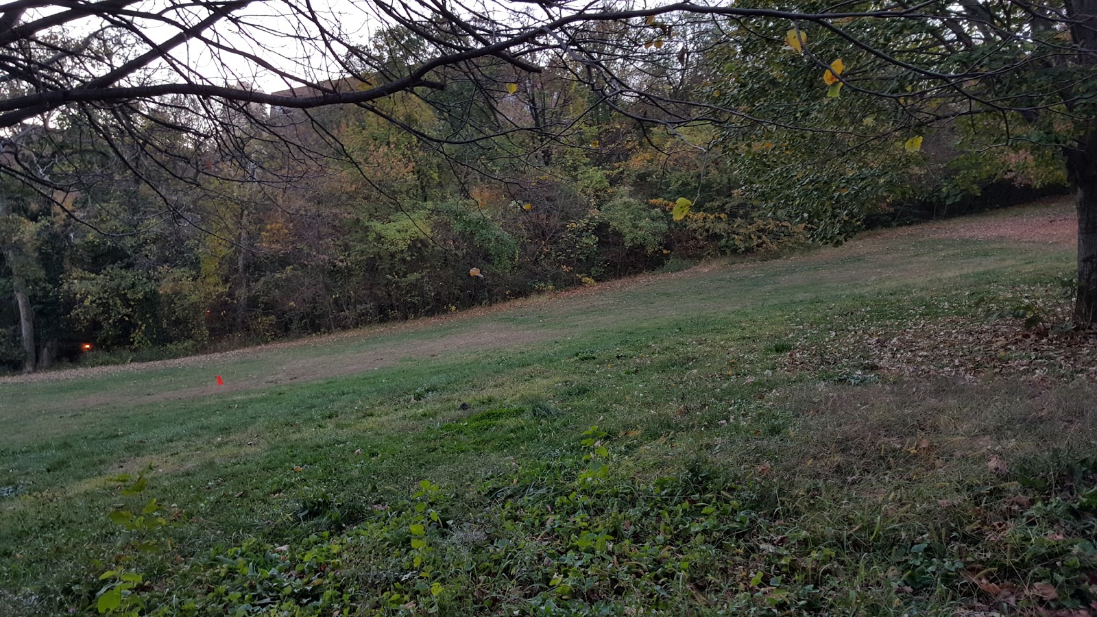 Photo of Ewen Park in Bronx City, New York, United States - 1 Picture of Point of interest, Establishment, Park