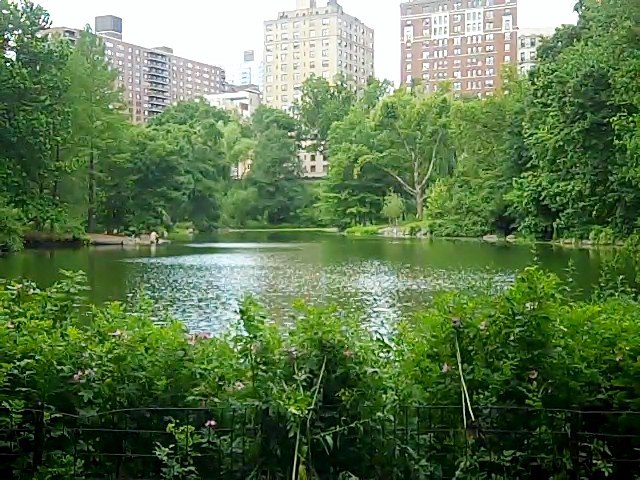 Photo of The Pool in New York City, New York, United States - 10 Picture of Point of interest, Establishment