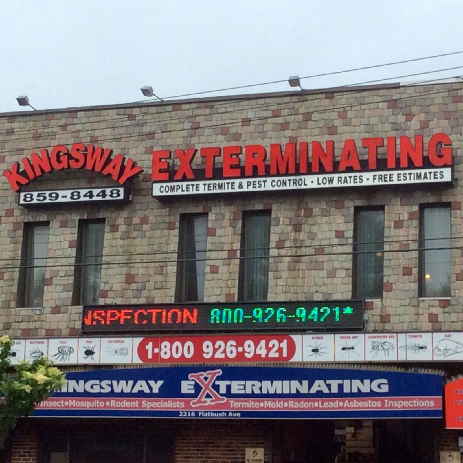 Photo of Kingsway Exterminating Co. in Brooklyn City, New York, United States - 1 Picture of Point of interest, Establishment, Store, Home goods store