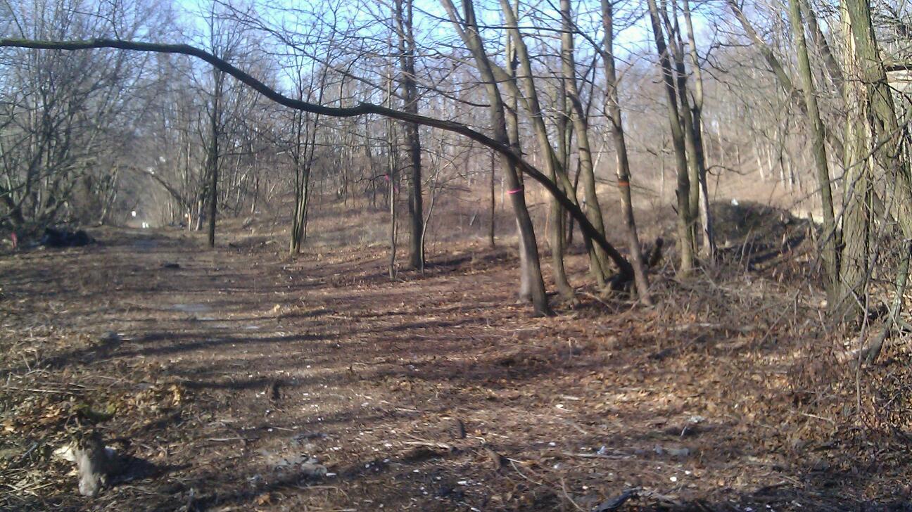 Photo of Jones Woods Park in Staten Island City, New York, United States - 1 Picture of Point of interest, Establishment, Park