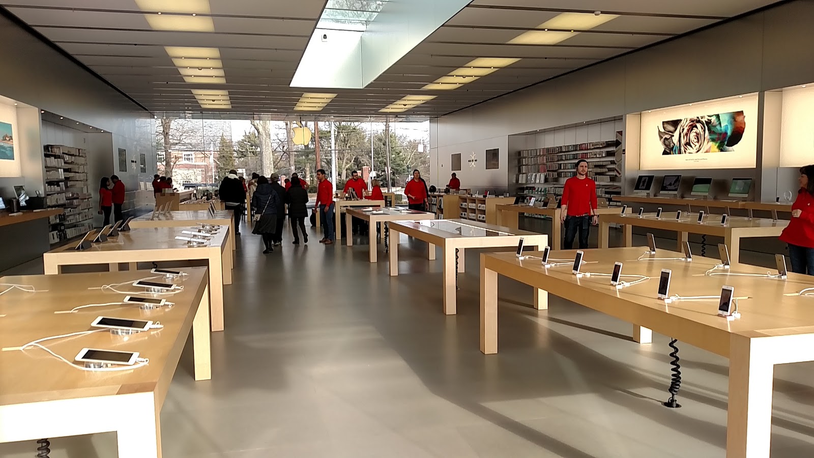 Photo of Apple Store in Manhasset City, New York, United States - 1 Picture of Point of interest, Establishment, Store, Electronics store