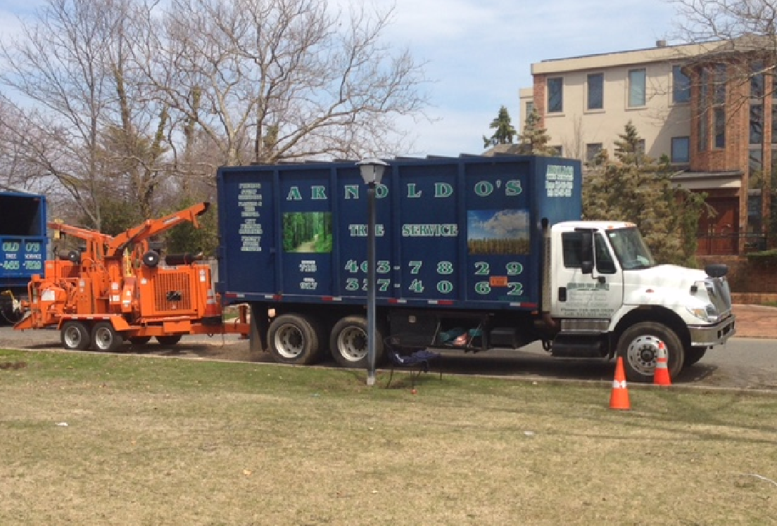 Photo of Arnoldo’s Tree Service in Fresh Meadows City, New York, United States - 4 Picture of Point of interest, Establishment, General contractor, Park