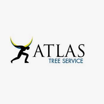 Photo of Atlas Tree Services in Lyndhurst City, New Jersey, United States - 1 Picture of Point of interest, Establishment