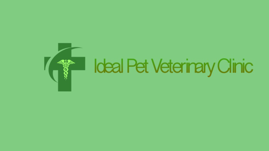 Photo of Ideal Pet Veterinary Clinic in New York City, New York, United States - 4 Picture of Point of interest, Establishment, Health, Veterinary care