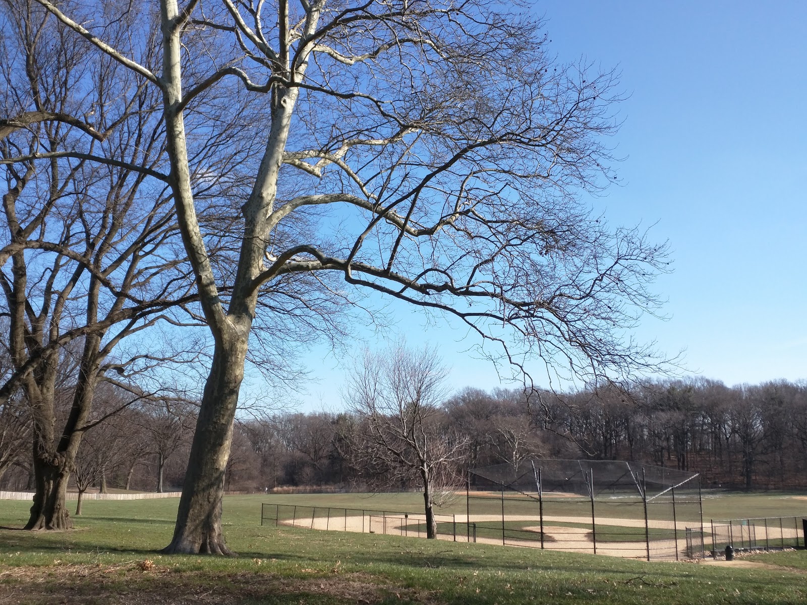 Photo of Long Meadow Ballfields in Brooklyn City, New York, United States - 3 Picture of Point of interest, Establishment, Park