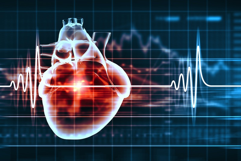 Photo of Cardiovascular Imaging Associates of Jersey City in Jersey City, New Jersey, United States - 1 Picture of Point of interest, Establishment, Health