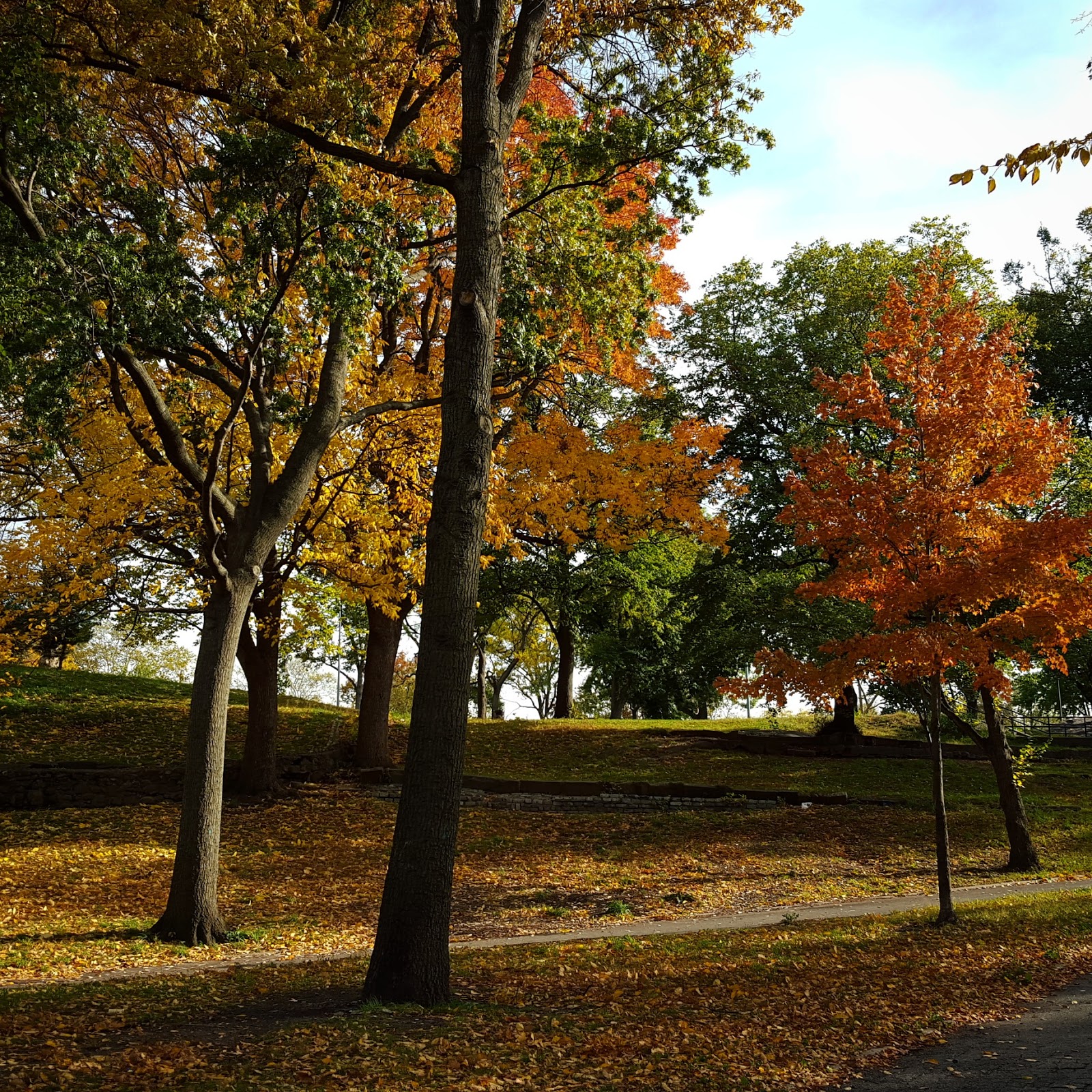 Photo of Saint Mary's Park in Bronx City, New York, United States - 7 Picture of Point of interest, Establishment, Park