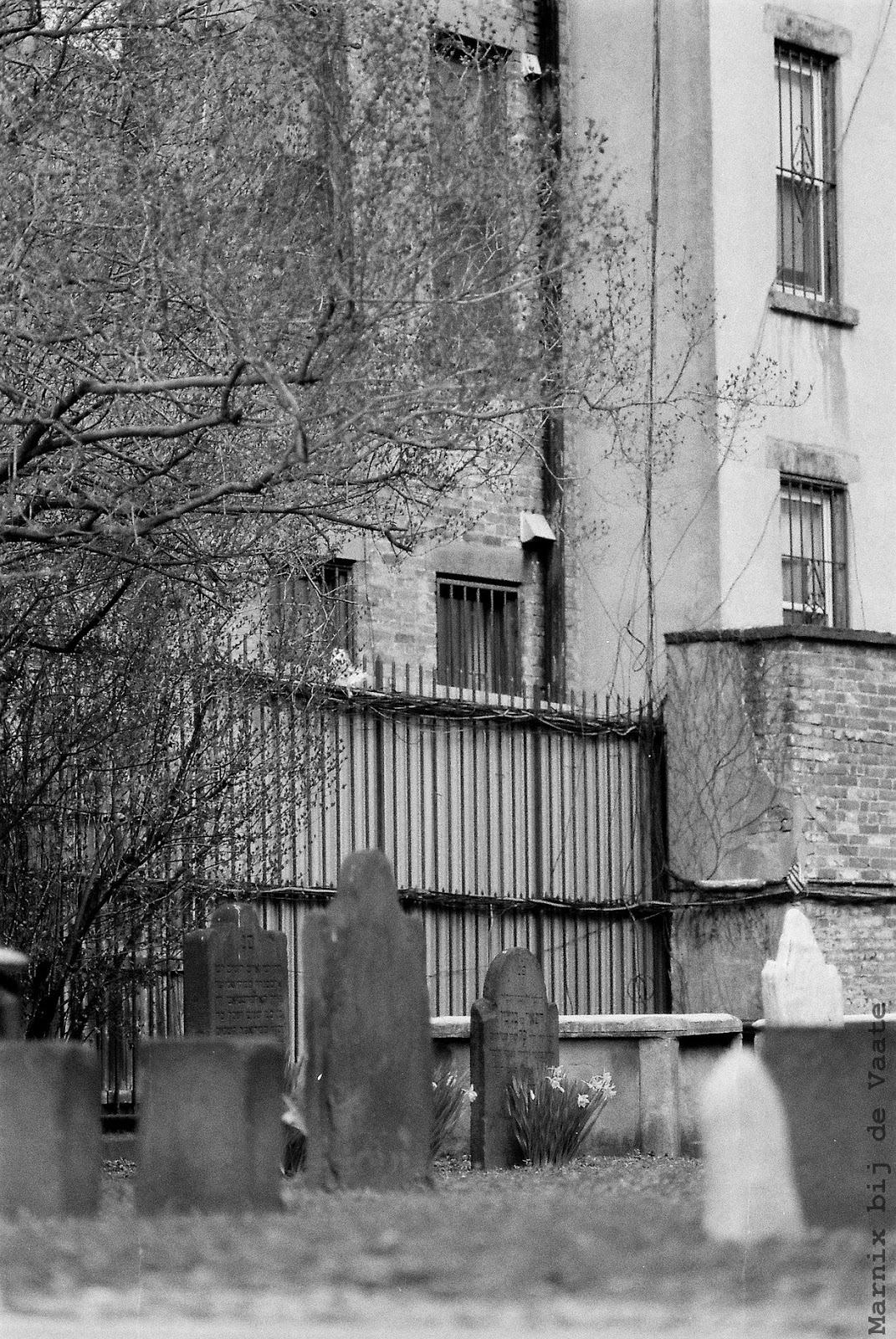 Photo of First Shearith Israel Graveyard in New York City, New York, United States - 1 Picture of Point of interest, Establishment, Cemetery