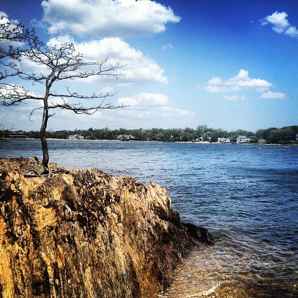 Photo of Marshlands Conservancy in Rye City, New York, United States - 7 Picture of Point of interest, Establishment, Park