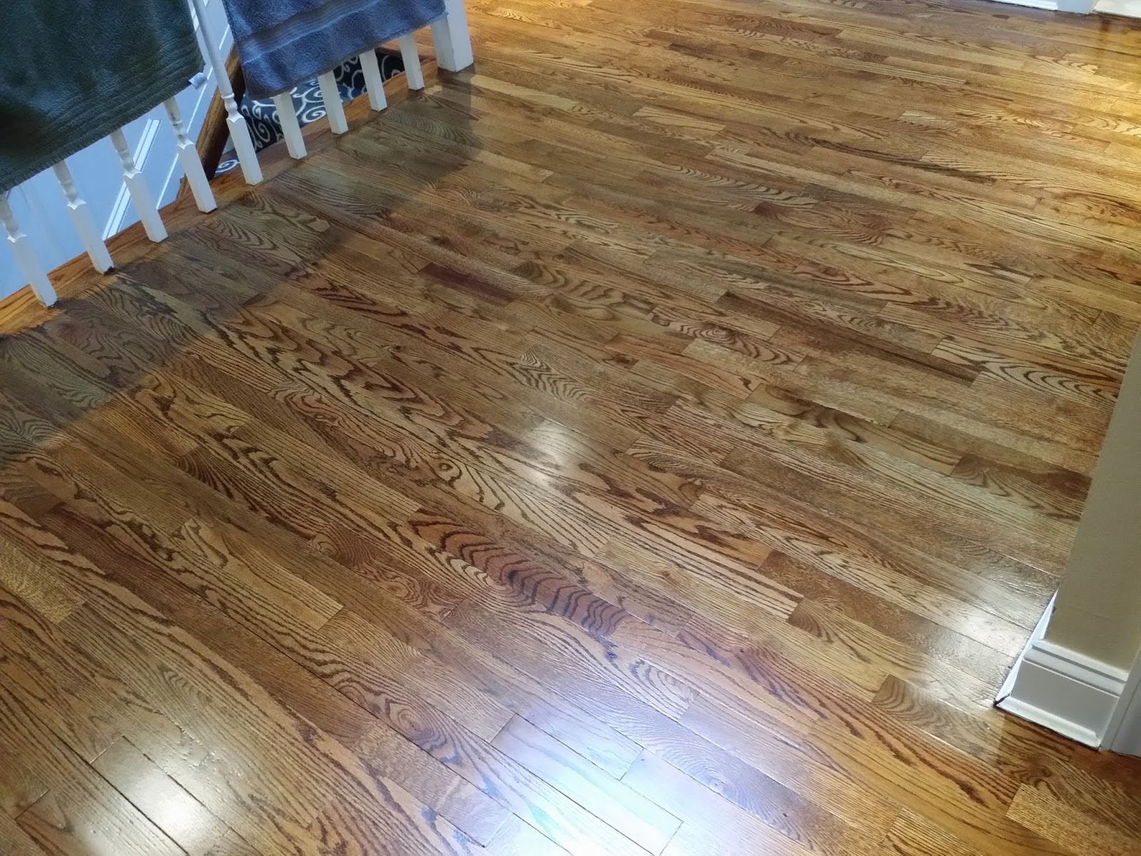 Photo of American German Floor Scraping in Queens City, New York, United States - 3 Picture of Point of interest, Establishment, General contractor