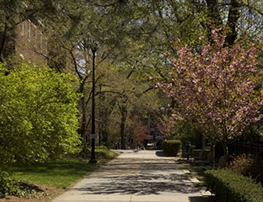 Photo of Flatbush Gardens in Brooklyn City, New York, United States - 3 Picture of Point of interest, Establishment, Real estate agency