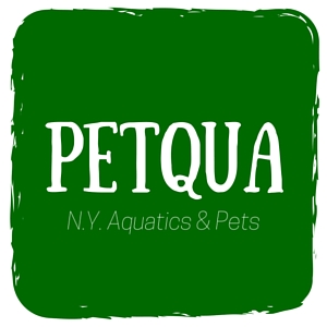 Photo of Petqua in New York City, New York, United States - 4 Picture of Point of interest, Establishment, Store, Pet store
