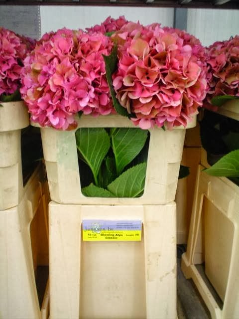 Photo of Calvert's Wholesale Flower in Middletown City, New Jersey, United States - 3 Picture of Point of interest, Establishment