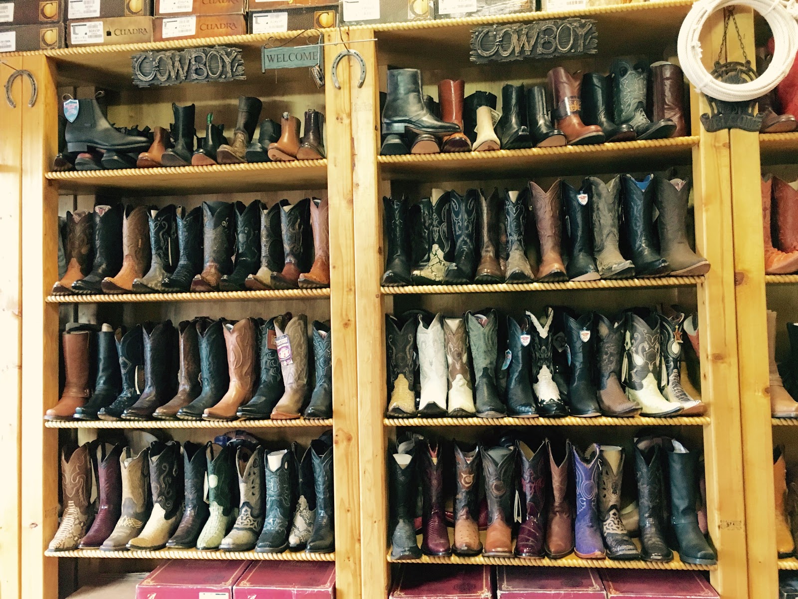 Photo of The Little Ranch Boots in New Rochelle City, New York, United States - 2 Picture of Point of interest, Establishment, Store, Clothing store, Shoe store