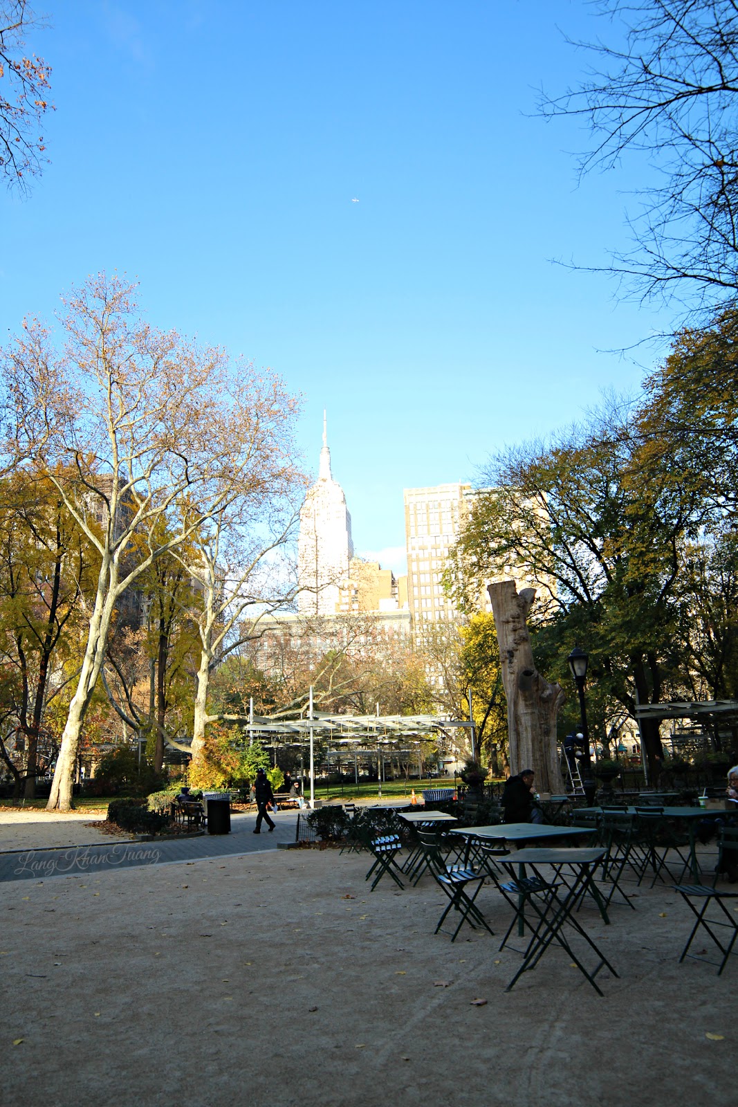 Photo of Madison Square Dog Run in New York City, New York, United States - 3 Picture of Point of interest, Establishment