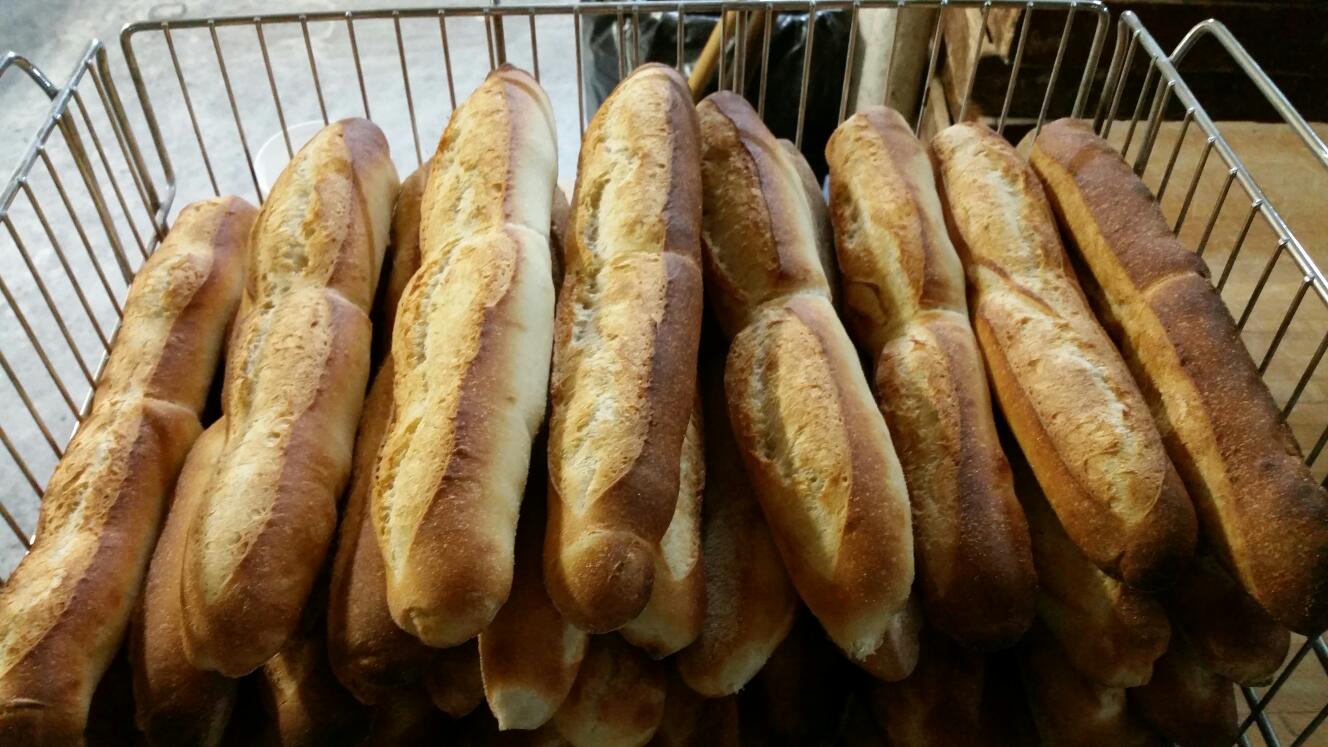 Photo of Altamura Bakery in Bayonne City, New Jersey, United States - 4 Picture of Food, Point of interest, Establishment, Store, Bakery