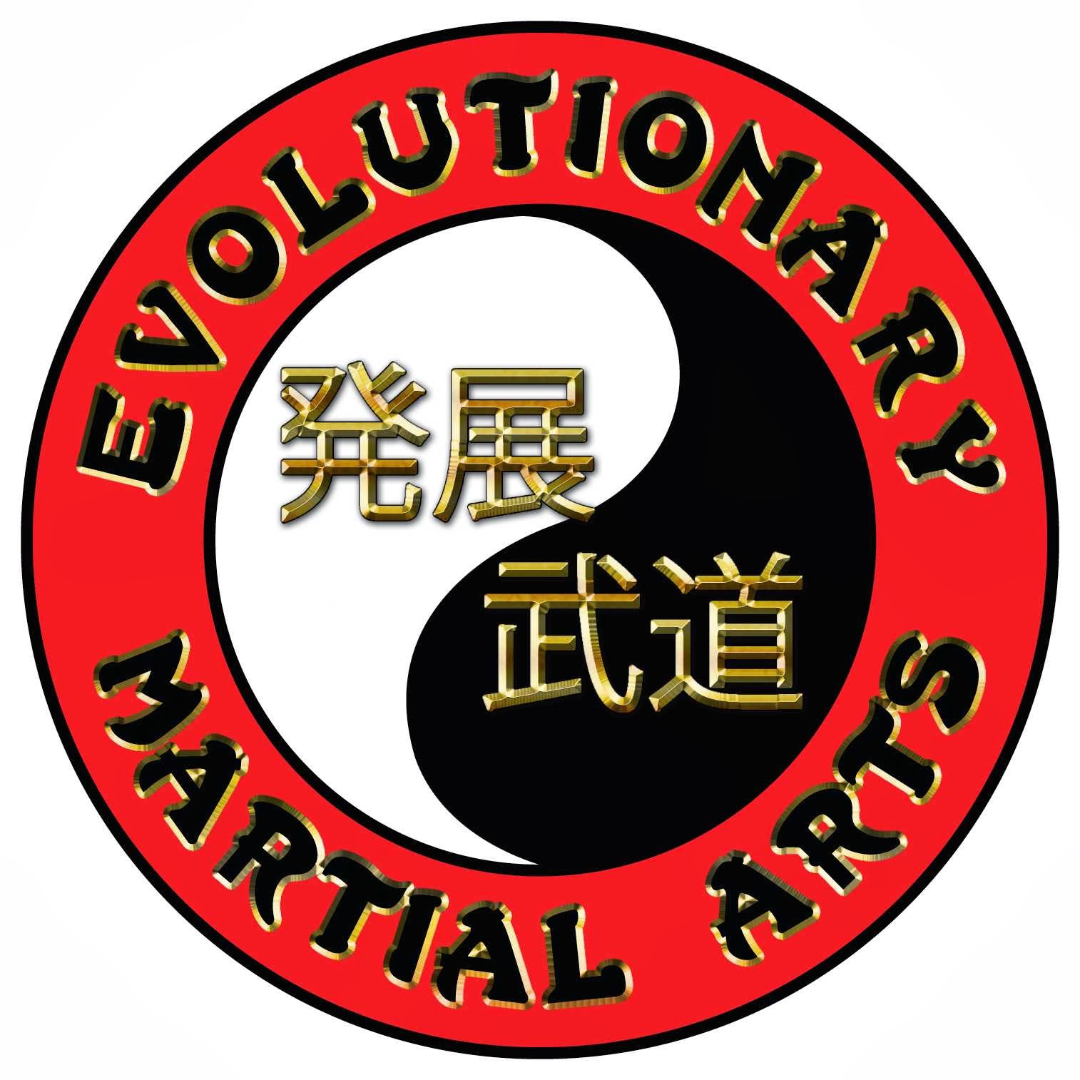 Photo of Evolutionary Martial Arts, Inc. in New York City, New York, United States - 2 Picture of Point of interest, Establishment, Health