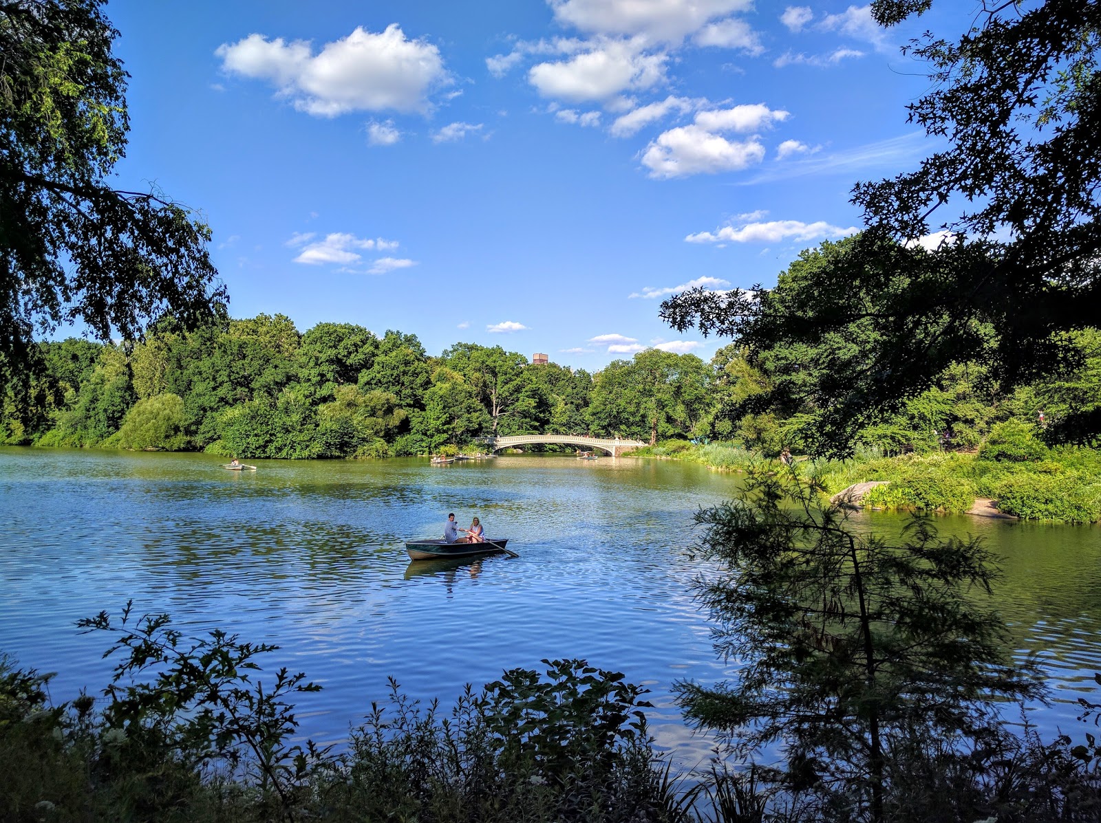 Photo of Central Park Sightseeing Bike Rentals And Tours in New York City, New York, United States - 3 Picture of Point of interest, Establishment, Travel agency