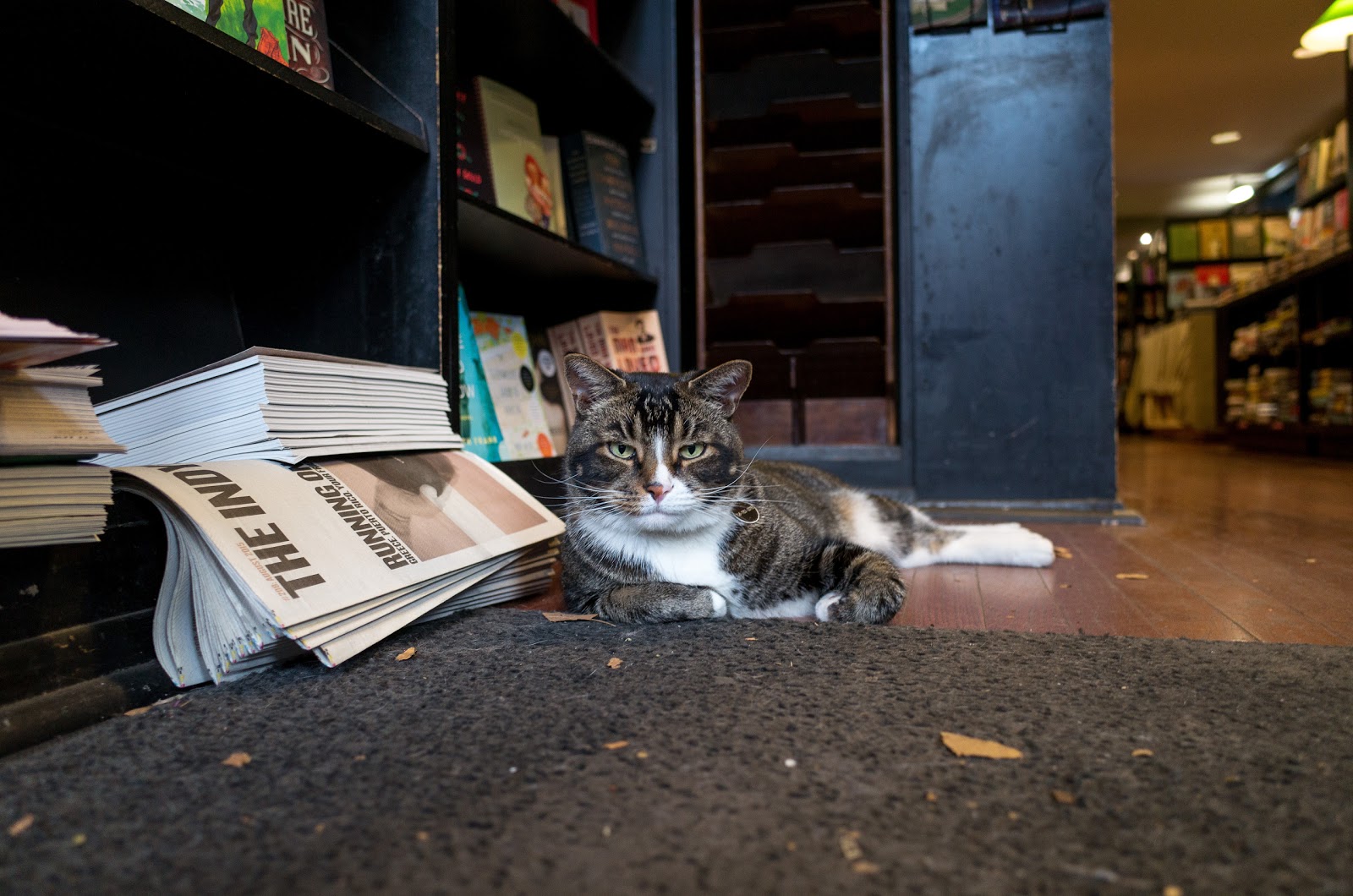 Photo of Community Bookstore in Kings County City, New York, United States - 4 Picture of Point of interest, Establishment, Store, Book store