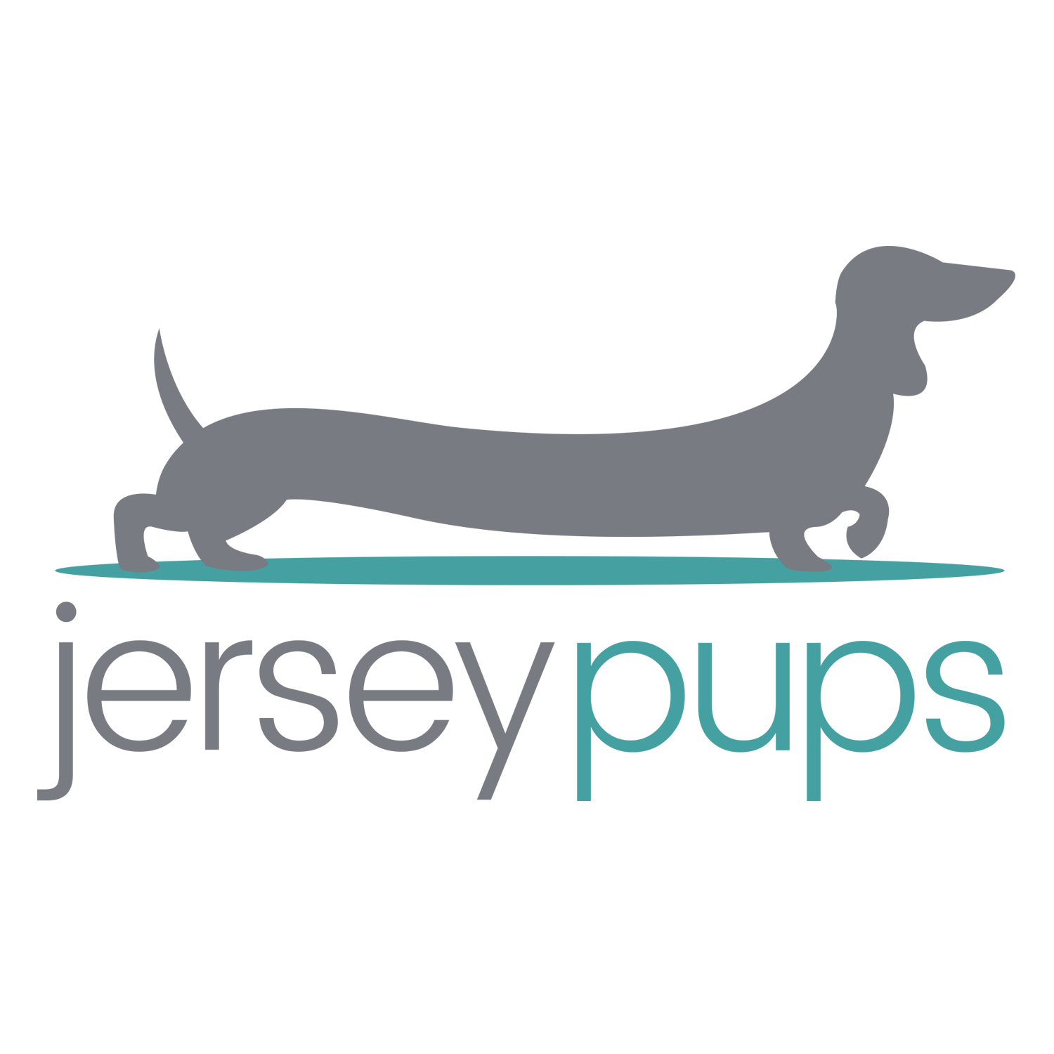 Photo of Jersey Pups in Matawan City, New Jersey, United States - 1 Picture of Point of interest, Establishment