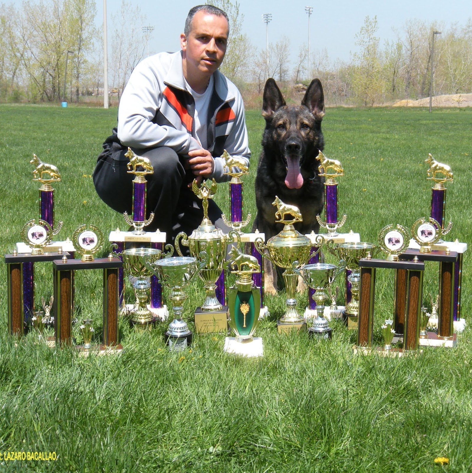 Photo of Rosa's K-9 Training in Jersey City, New Jersey, United States - 1 Picture of Point of interest, Establishment