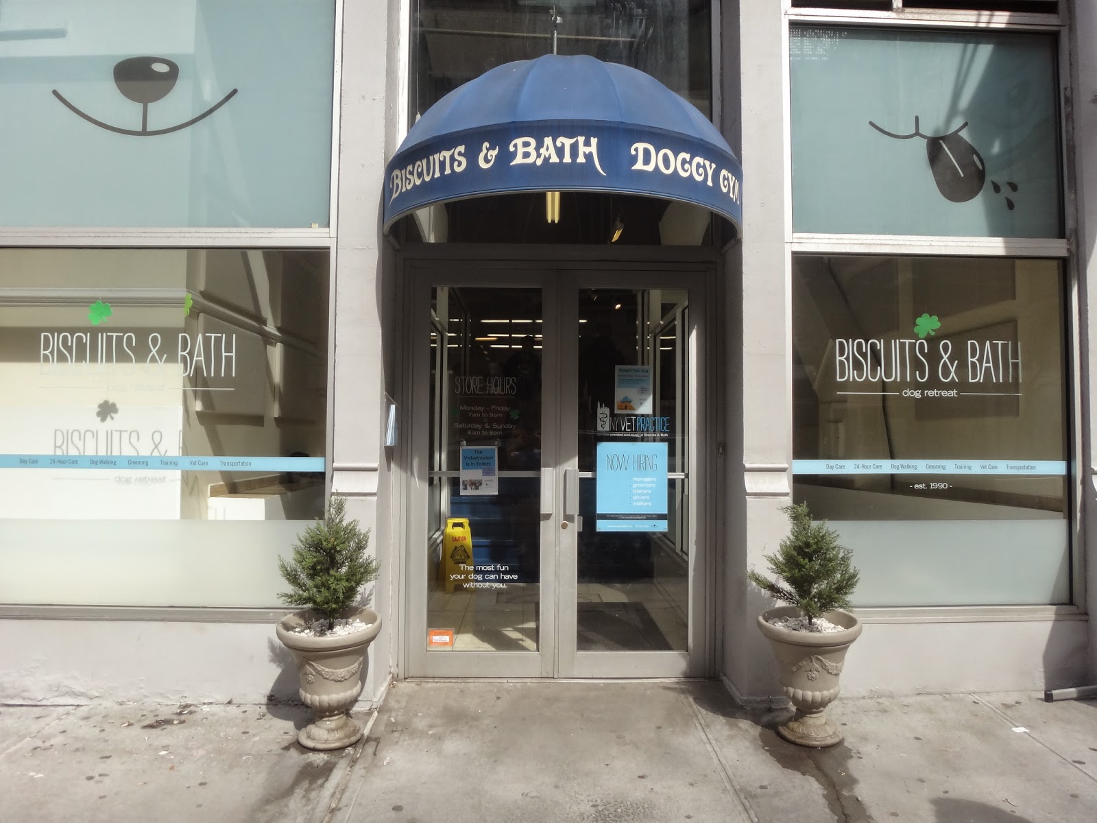 Photo of Biscuits & Bath in New York City, New York, United States - 8 Picture of Point of interest, Establishment, Veterinary care