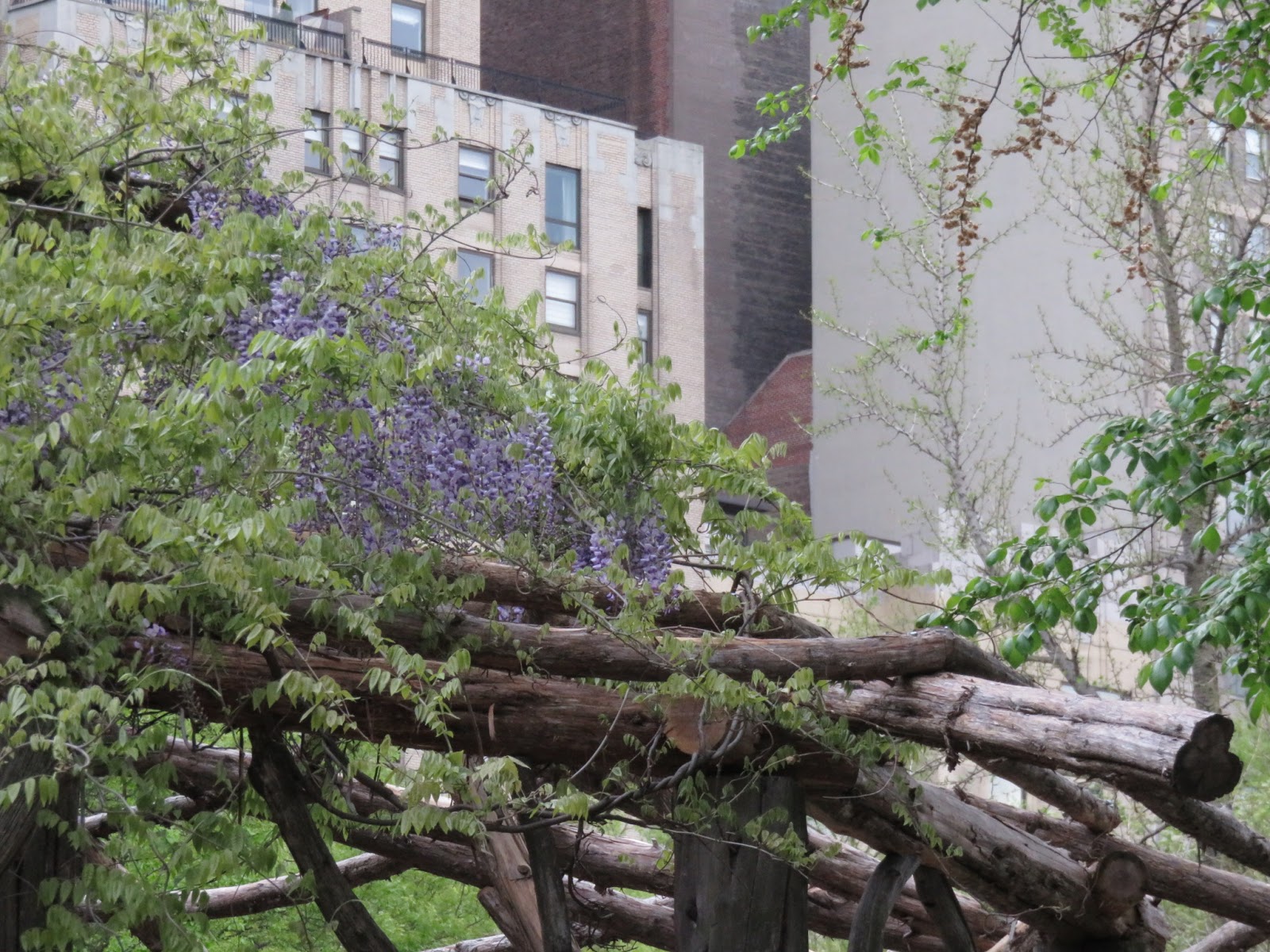 Photo of The Cop Cot in New York City, New York, United States - 6 Picture of Point of interest, Establishment