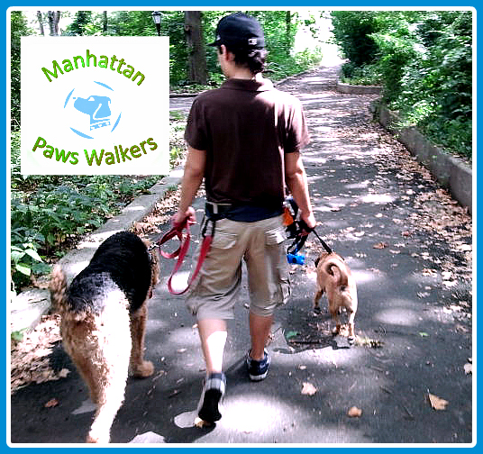 Photo of Manhattan Paws Walkers in New York City, New York, United States - 3 Picture of Point of interest, Establishment